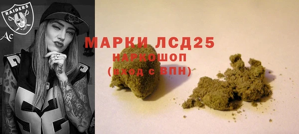 прущие крисы Беломорск
