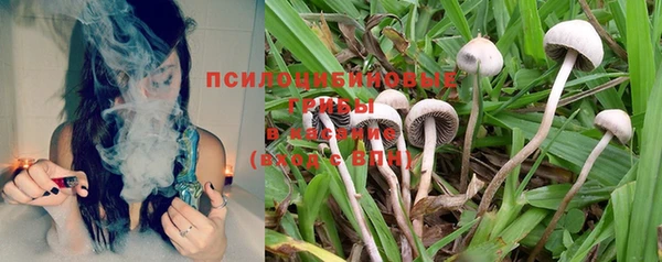 прущие крисы Беломорск