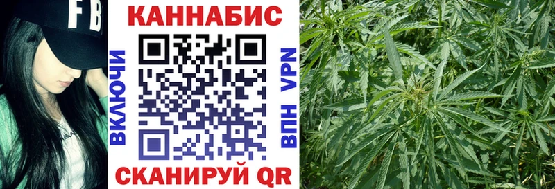 Купить закладки  Новый Оскол  Каннабис гибрид 
